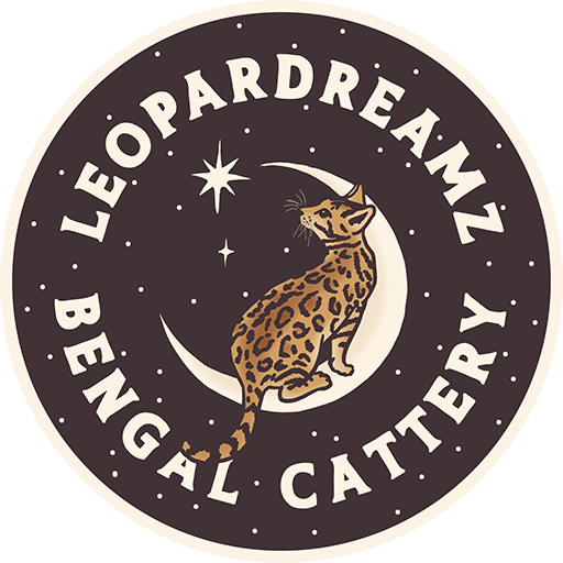 LeoparDreamz Bengals Cattery